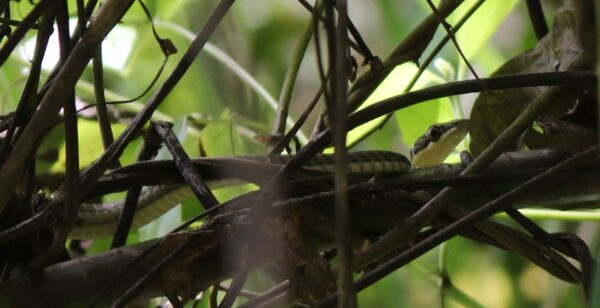 Biodiversity Walk - Image 12