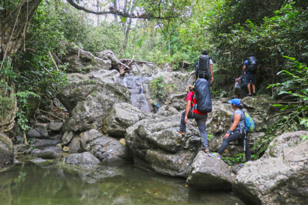 Hike, Camp & Learn: Introduction to Outdoors