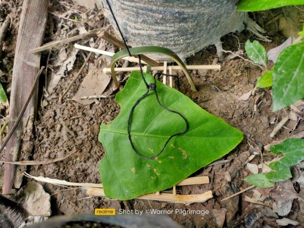 Basic Wilderness Survival Course (BWSC) - Image 4