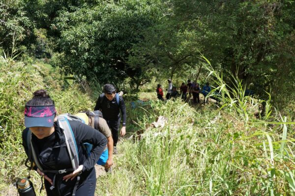 Biodiversity Walk - Image 15