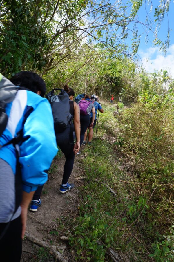 Biodiversity Walk - Image 8