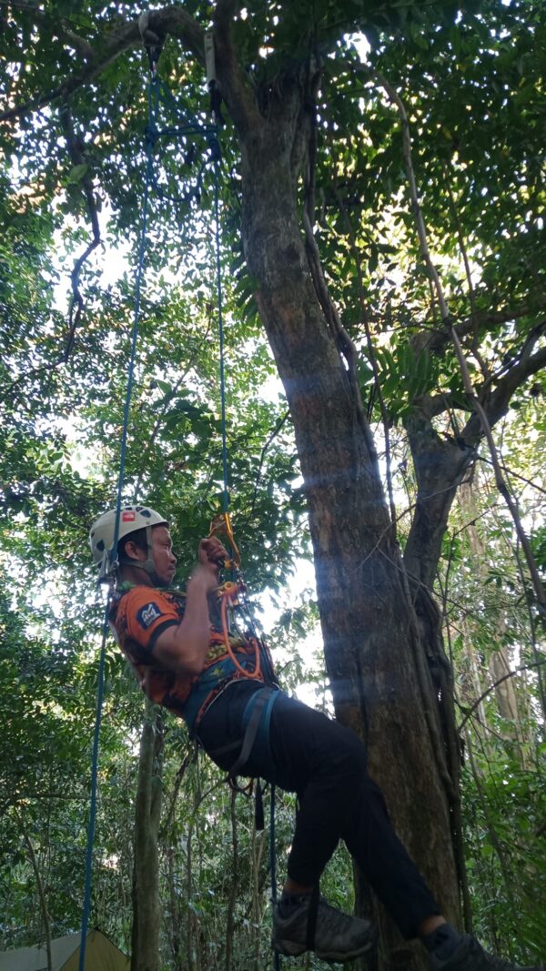 Wilderness Basic Rope Rescue Operations (WBRRO) - Image 8