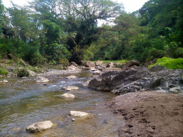 Hiking and River-trekking Adventure (Bonbon Cebu Mountains) - Image 2