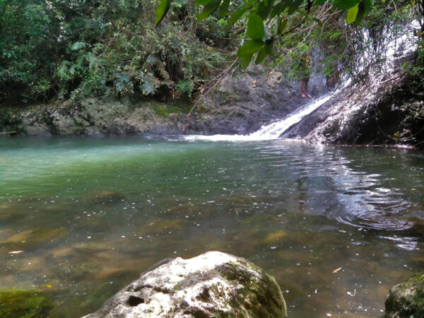 Hiking and River-trekking Adventure (Bonbon Cebu Mountains) - Image 4