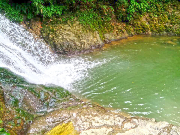 Hiking and River-trekking Adventure (Bonbon Cebu Mountains) - Image 6
