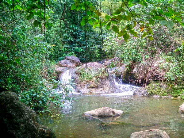 Hiking and River-trekking Adventure (Bonbon Cebu Mountains) - Image 7