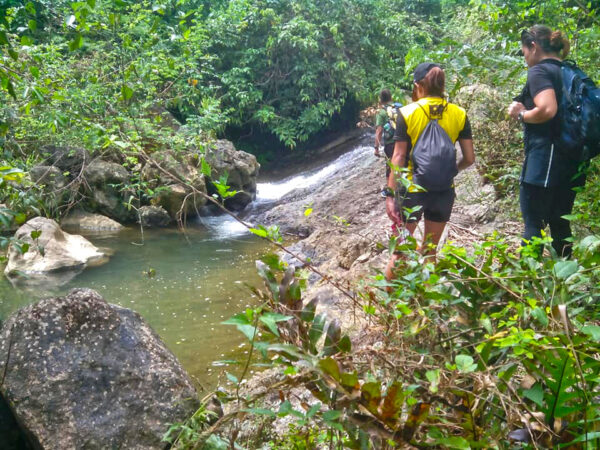 Hiking and River-trekking Adventure (Bonbon Cebu Mountains)