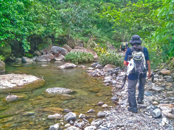 Hiking and River-trekking Adventure (Bonbon Cebu Mountains) - Image 8