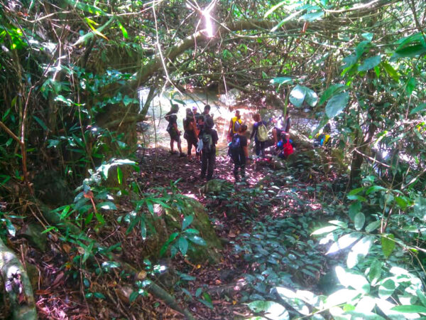 Hiking and River-trekking Adventure (Bonbon Cebu Mountains) - Image 10