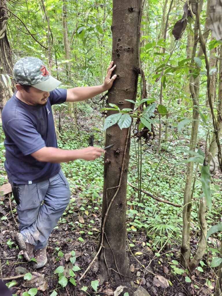 S.O.S.C. - Mountain Survival Challenge