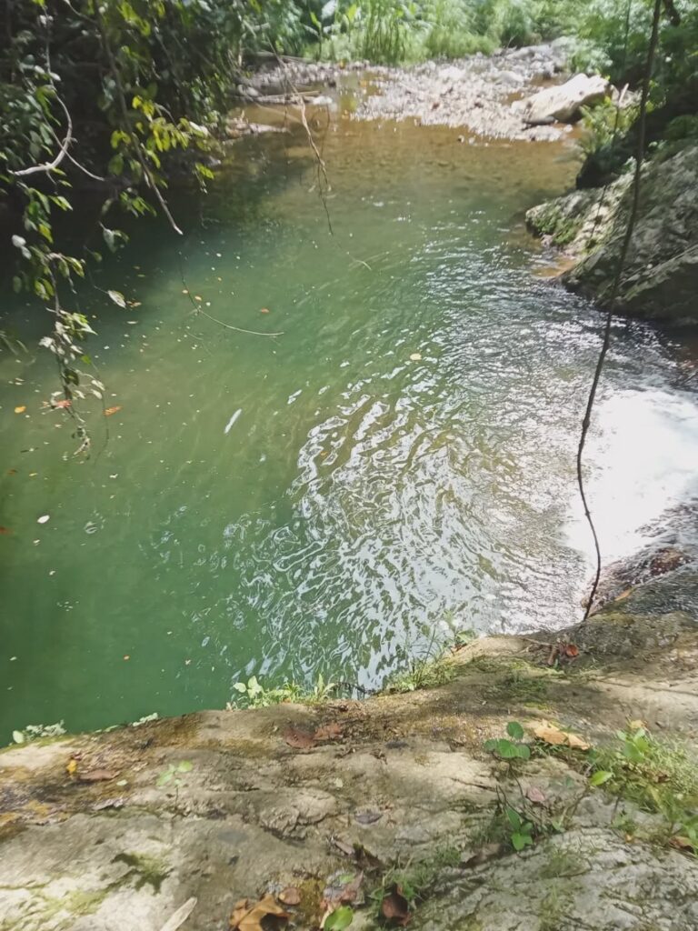 S.O.S.C. - Mountain Survival Challenge