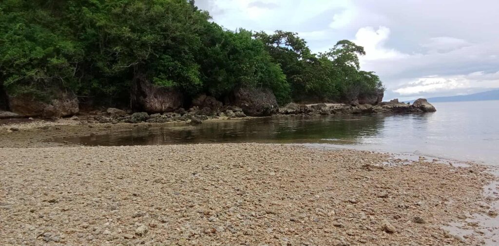 S.O.S.C. - Island Survival Challenge