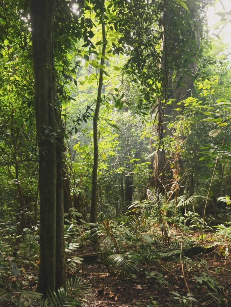 S.O.S.C. - Mountain Survival Challenge