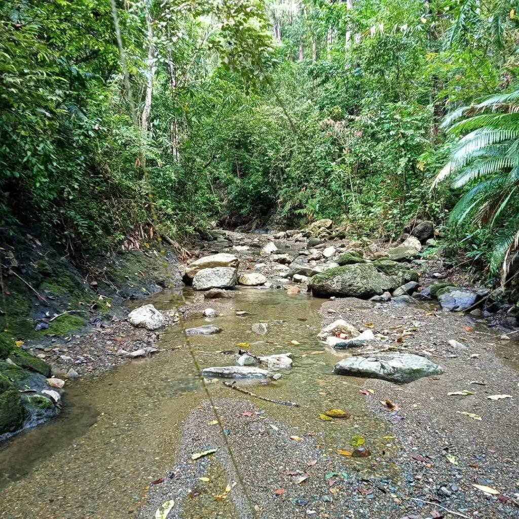 S.O.S.C. - Mountain Survival Challenge